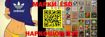 PSILOCYBIN Донской