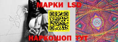 дмт Донецк