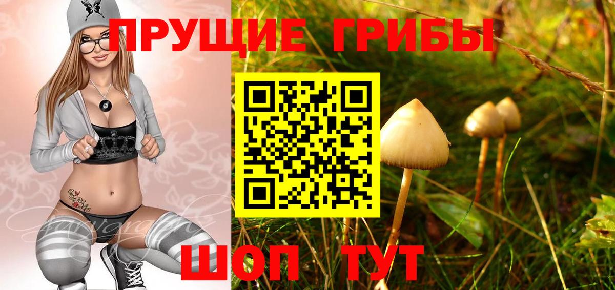 Луга  Псилоцибиновые грибы прущие грибы  Галлюциногенные грибы Psilocybine cubensis  Вход с VPN 